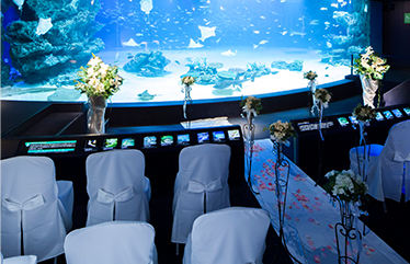 プラン 公式 サンシャインスカイブライダル 水族館 上空210mの結婚式