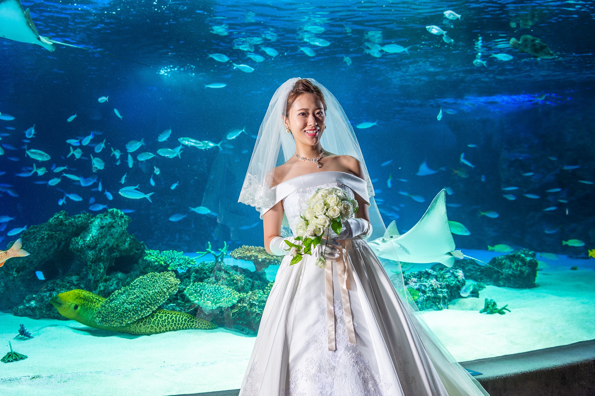 水族館での結婚式 サンシャインスカイブライダル